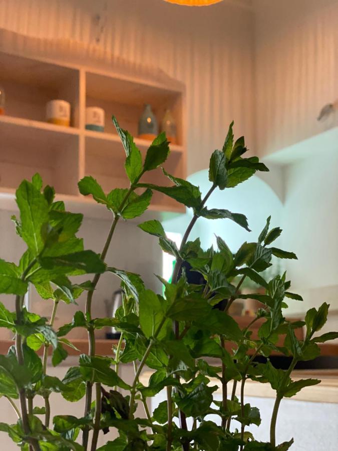 A Casa Del Console Apartment Manfredonia Ngoại thất bức ảnh